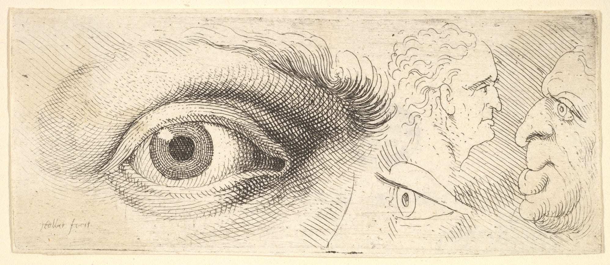 A hand-drawn eye, and a variety of faces, drawn in the 17th Century by Wenceslaus Hollar