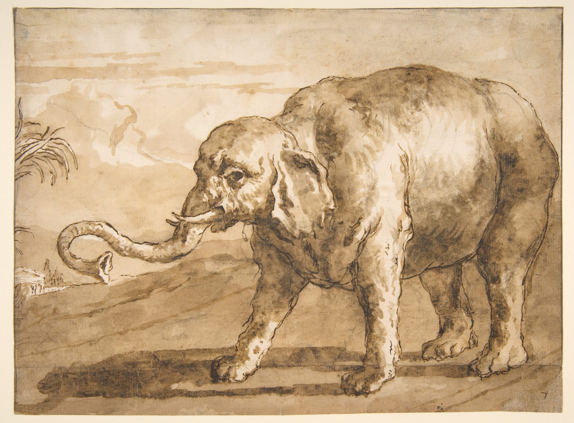 An 18th Century painting of an elephant using brown watercolour, by Giovanni Tiepolo