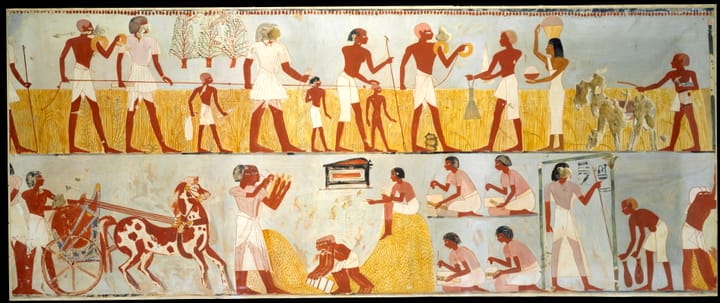 An ancient Egyptian mural of farmers harvesting wheat and grinding it into flour.