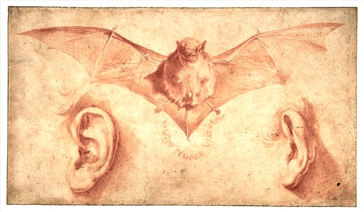 A 17th Century illustration of a bat and two human ears with the text 'FULGET SEMPER VIRTUS' meaning virtue always shines