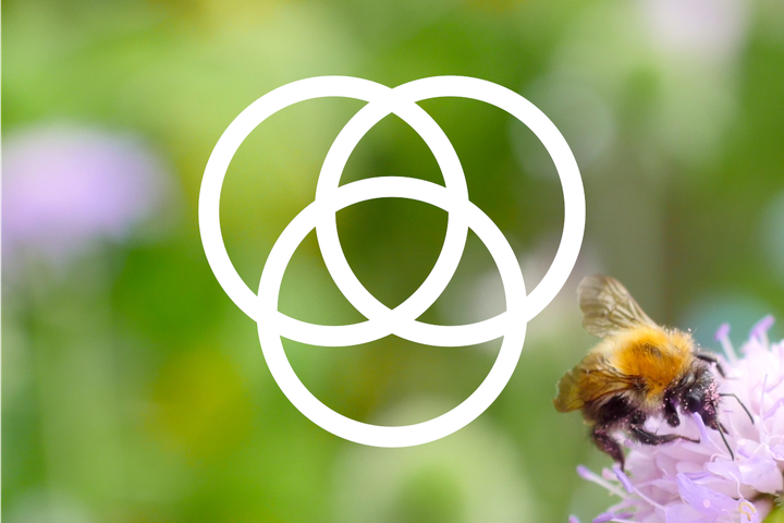 An overlapping Venn diagram of three circles (representing Geeks for social change) and a close-up of a bee with pollen on a flower.