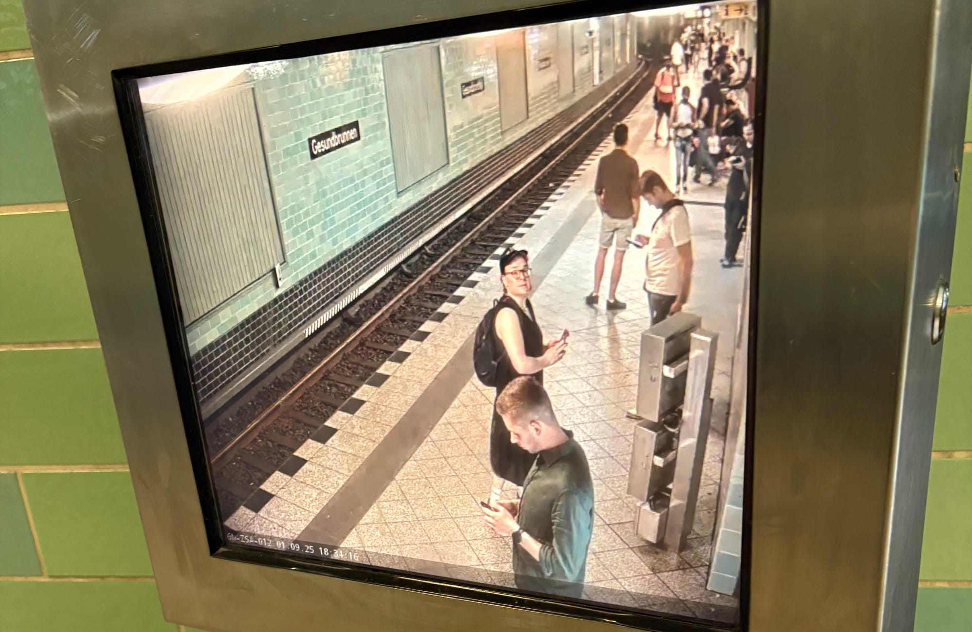 Autumn leaves! Staying aloft during the fall